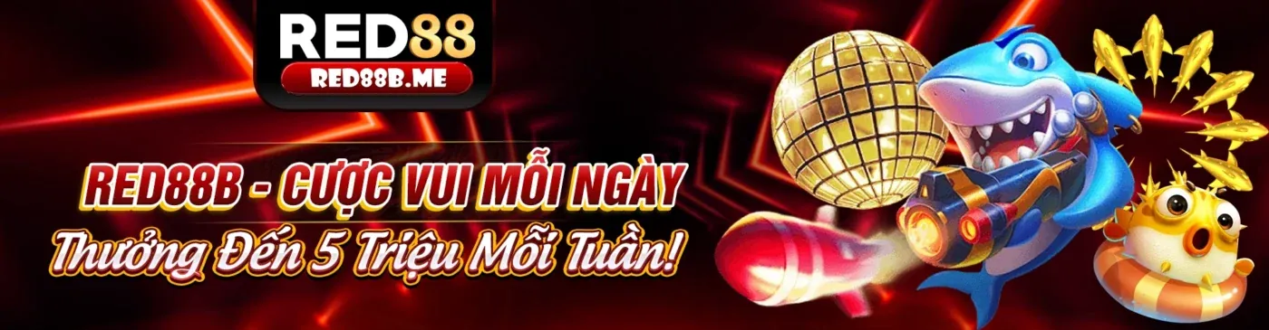 Chương trình VIP độc quyền
