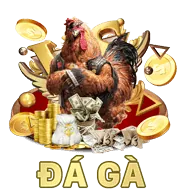 Giải thích luật đá gà Thomo