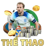 Chiến kê hot nhất đá gà Thomo 2024