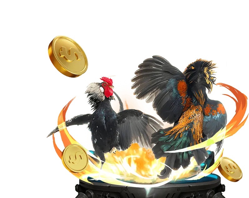 Hướng dẫn xem đá gà Thomo trực tiếp mượt mà, không giật lag